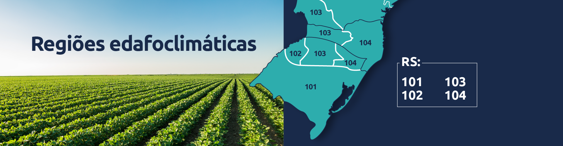 Conteúdo do Cultivar