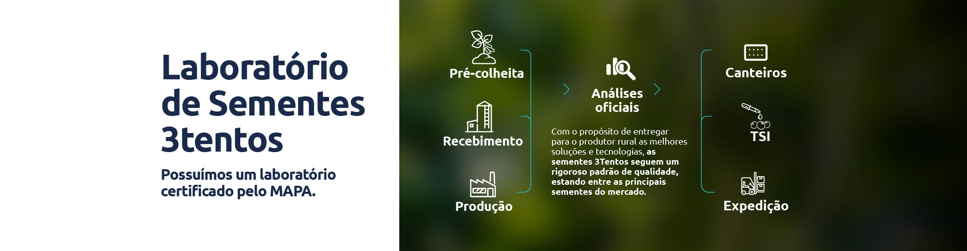 Conteúdo do Cultivar