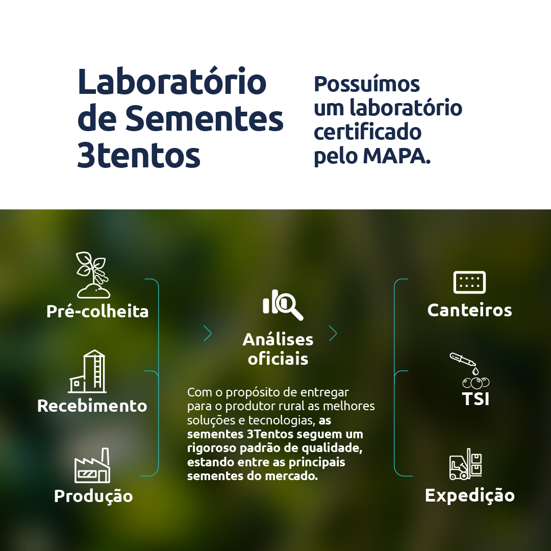 Conteúdo do Cultivar