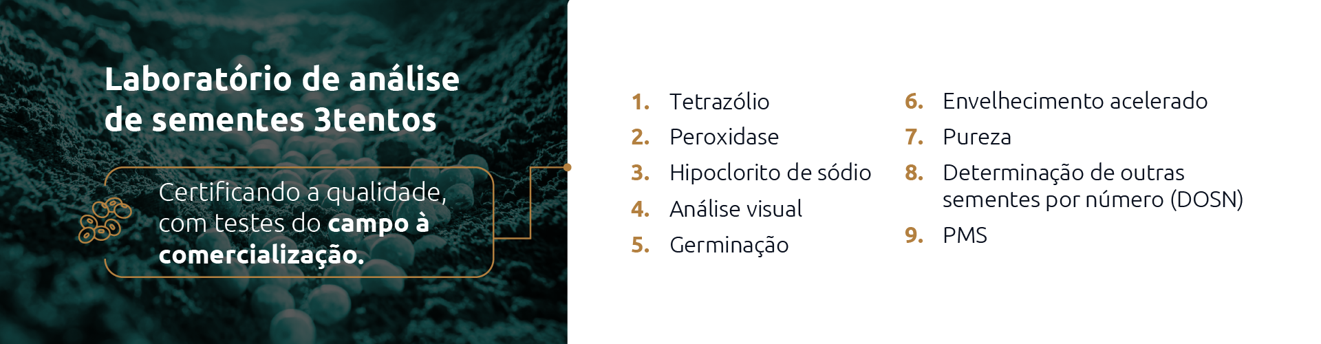 Conteúdo do Cultivar