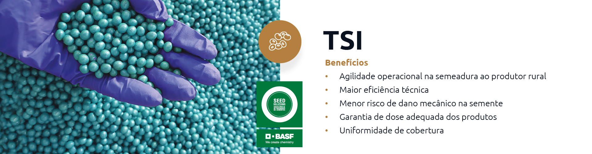 Conteúdo do Cultivar