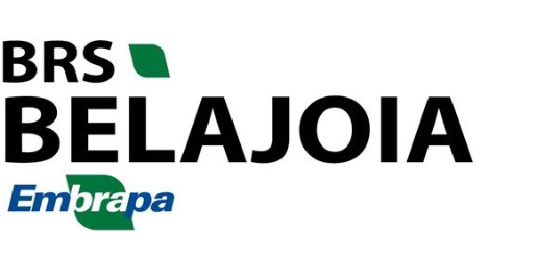 Logo do cultivar BRS BELAJOIA