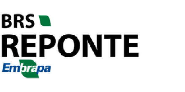 Logo do cultivar BRS REPONTE