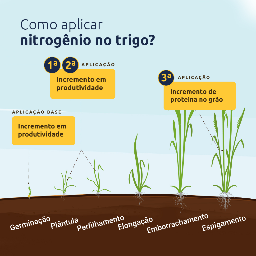 Conteúdo do Cultivar
