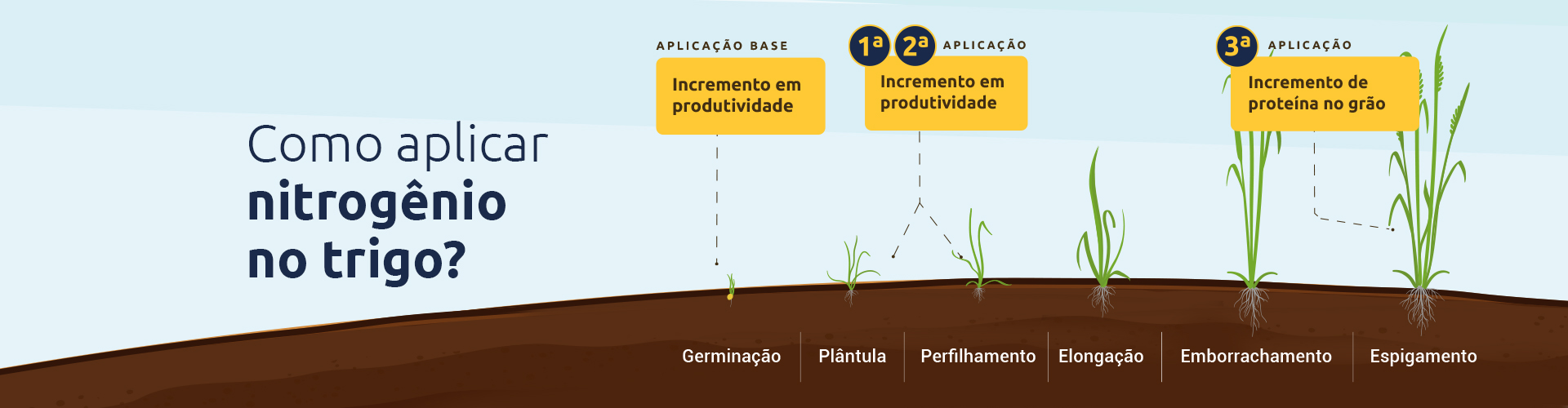 Conteúdo do Cultivar