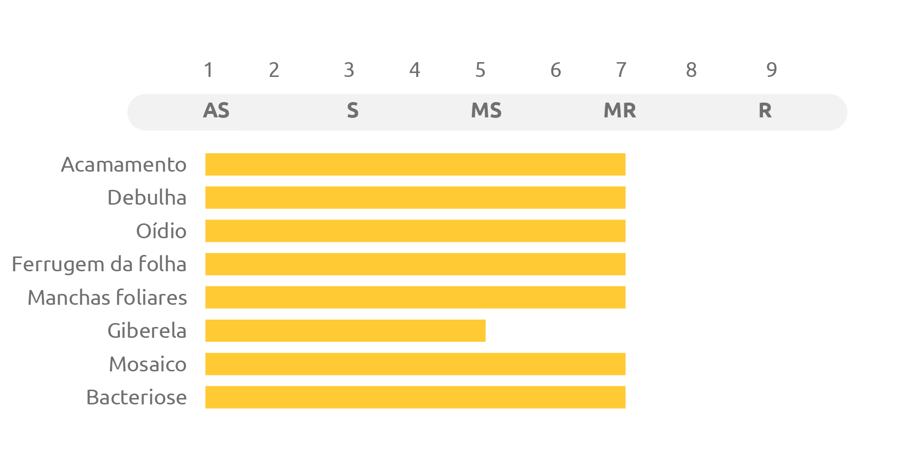 Tabela do cultivar BRS BELAJOIA