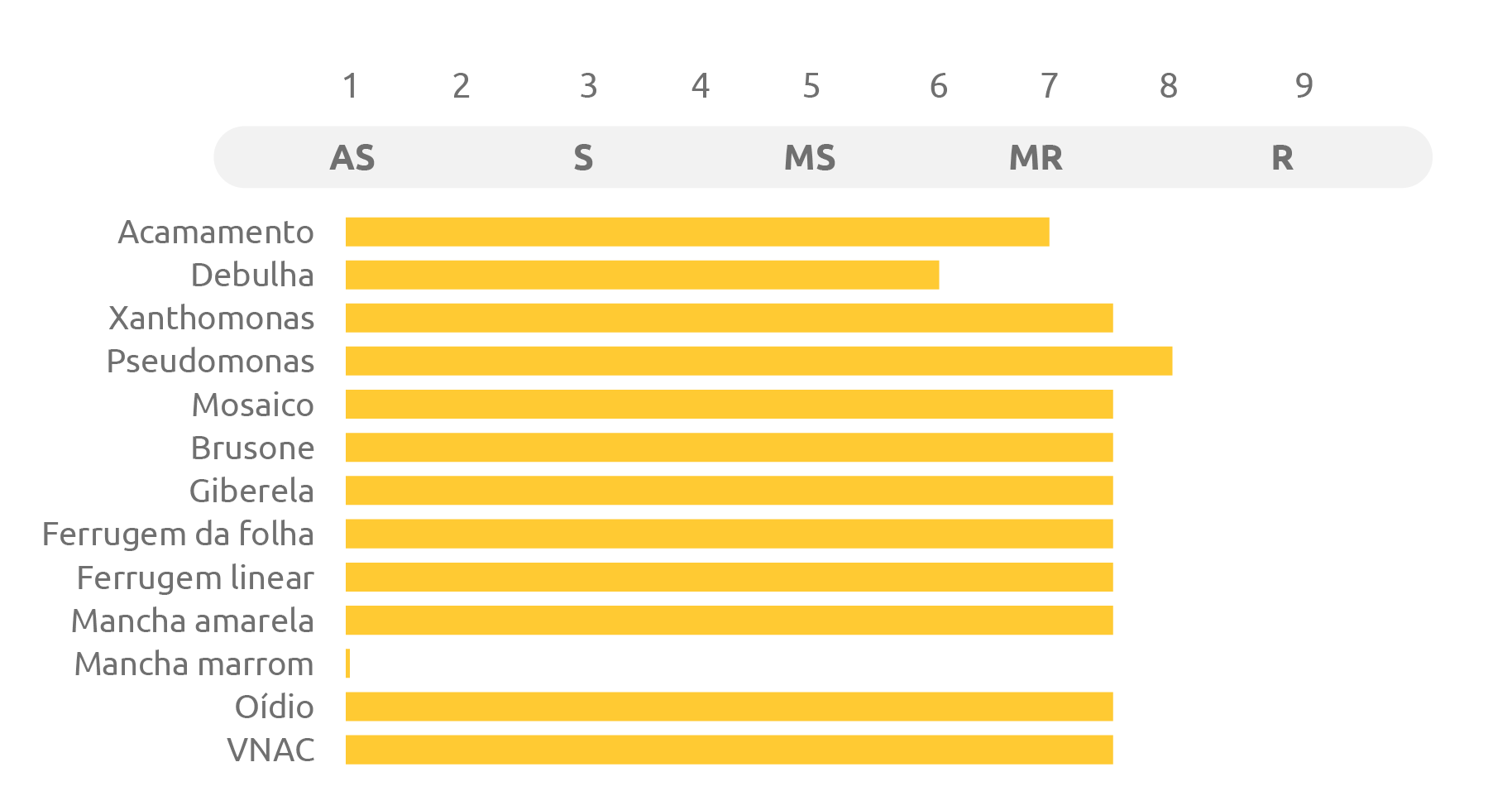 Tabela do cultivar ORS Turbo
