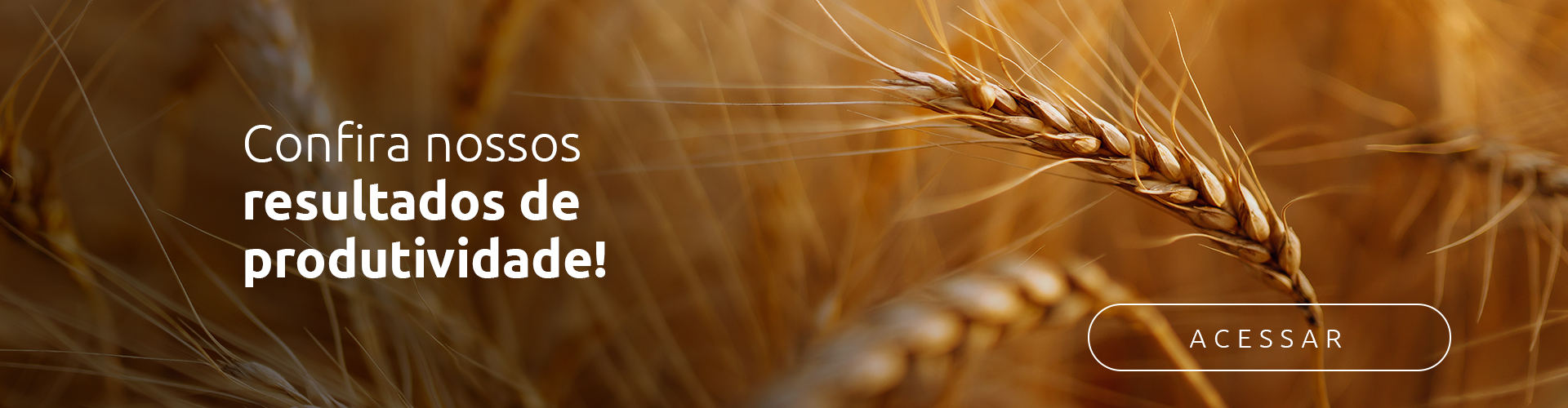 Conteúdo do Cultivar